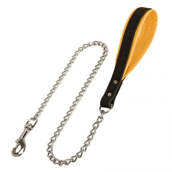 chain leash with leather handle