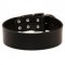 Extra Wide Leather American Bulldog Collar for Professional Training
