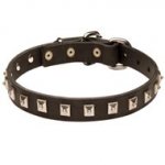 American Bulldog Leather Collar Caterpillar Design