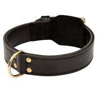 Training 2 Ply Leather American Bulldog Collar