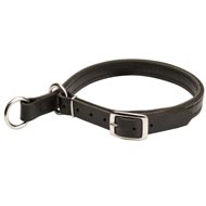 American Bulldog Leather Choke Collar