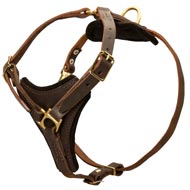 Tracking Leather American Bulldog Harness With Y-Chest Plate
