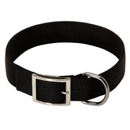 2 Ply Nylon American Bulldog Collar
