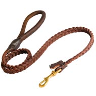 American Bulldog Leather Braided Dog Leash