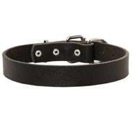 American Bulldog Leather Dog Collar For Pleasant Wearing