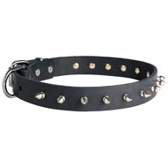 American Bulldog Leather Collar Spiked 30 mm