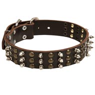 American Bulldog Spikes and Studs Rows Leather Dog Collar