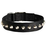 Exclusive Nylon American Bulldog Collar with Awesome Nickel Cones