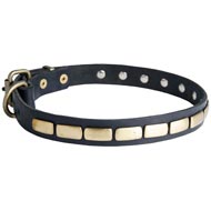 American Bulldog Leather Collar Brass Plates 25 mm