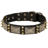 American Bulldog Spiked Leather Collar with Nickel Plates