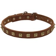 Handcrafted 1 Row Square Studded Leather American Bulldog Collar