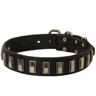 American Bulldog Leather Collar with Shiny Plates