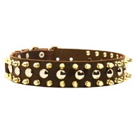 Spiked and Studded American Bulldog Leather Collar