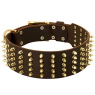 Wide Spiked Leather American Bulldog Collar