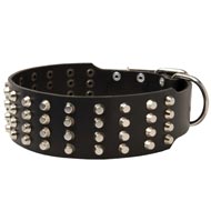 Extra Wide 4 Rows Studded Leather American Bulldog Collar