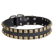 2 Rows Brass Studded Leather American Bulldog Collar for Walking and Training