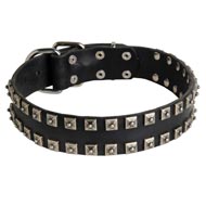 New Leather American Bulldog Collar - Fashion Exclusive Design - "Caterpillar"