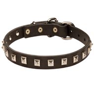 American Bulldog Leather Collar Caterpillar Design