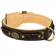 American Bulldog Leather Collar Braided
