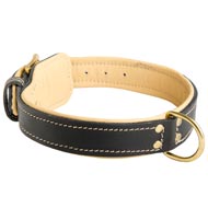 Padded Leather American Bulldog Collar