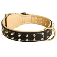 Royal Leather American Bulldog Collar Spiked Padded with Nappa Leather