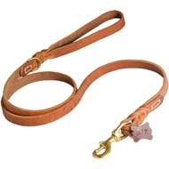 Walking and Training Leather American Bulldog Leash with Comfy Handle