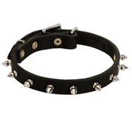 American Bulldog Leather Collar Spiked 3/4 Inch