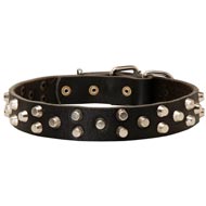 Fancy Design Leather American Bulldog Collar with Nickel Pyramids