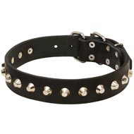 Gorgeous Wide Leather American Bulldog Collar - Fashion Exclusive Design