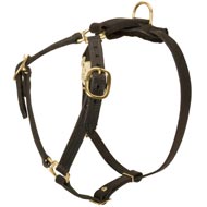 Y-Shaped Leather American Bulldog Harness for Tracking and Training