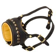 Open Nose Studded Leather American Bulldog Muzzle With Nappa Padding