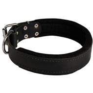 American Bulldog Durable Padded Leather Collar 40 mm