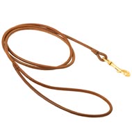 Round Leather American Bulldog Leash for Dog Shows