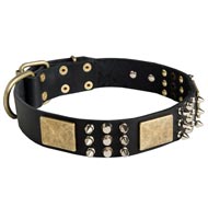 Spiked Leather American Bulldog Collar with Plates and Cones