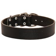Wide Leather American Bulldog Collar for Training and Walking