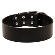 Extra Wide Leather American Bulldog Collar for Professional Training