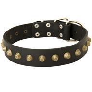Leather American Bulldog Collar with Brass Pyramids