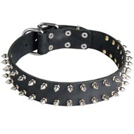 Leather American Bulldog Collar with 2 Rows of Nickel Spikes
