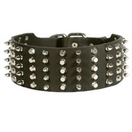 American Bulldog Leather Collar Spiked and Studded