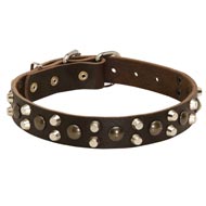 Leather American Bulldog Collar With Studs and Pyramids