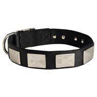 Nylon American Bulldog Collar Massive Nickel Plates