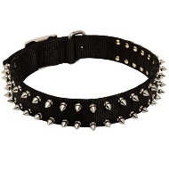 American Bulldog Nylon Collar Spiked