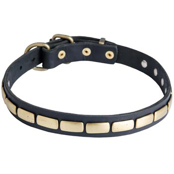 Walking Leather Collar with Brass Decoration for American Bulldog