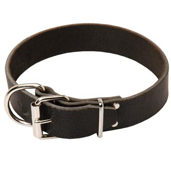 American Bulldog Leather Collar