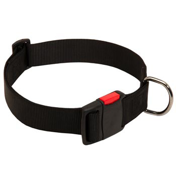 Nylon American Bulldog Collar for Training and Waling