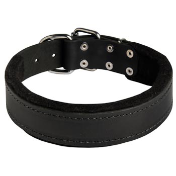 Adjustable American Bulldog Collar