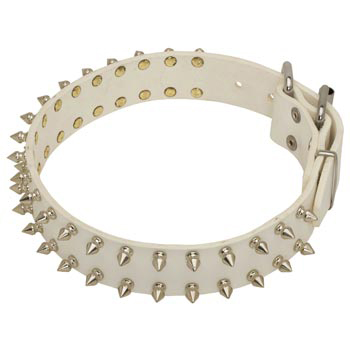 Spiked White Leather Collar for American Bulldog Walking