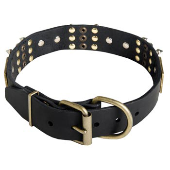 Studded Leather American Bulldog Collar for Walking