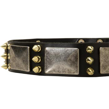 Stylish Leather Dog Collar for American Bulldog