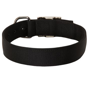 Nylon Collar for American Bulldog Comfy Training